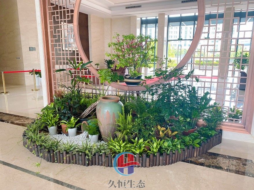 宁波镇海企业大厅组合花卉绿植摆放