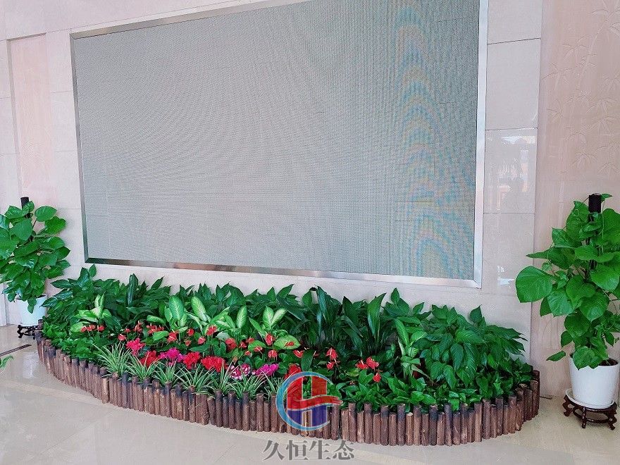 宁波镇海企业大厅显示屏组合花卉绿植摆放